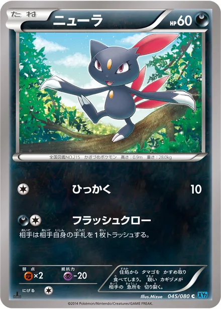 Sneasel XY2 045/080