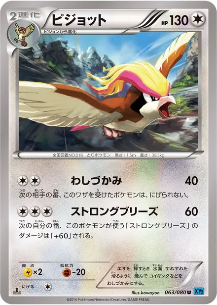 Pidgeot XY2 063/080