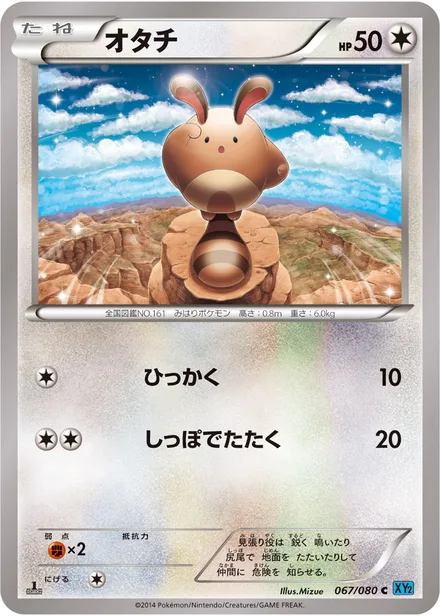 Sentret XY2 067/080