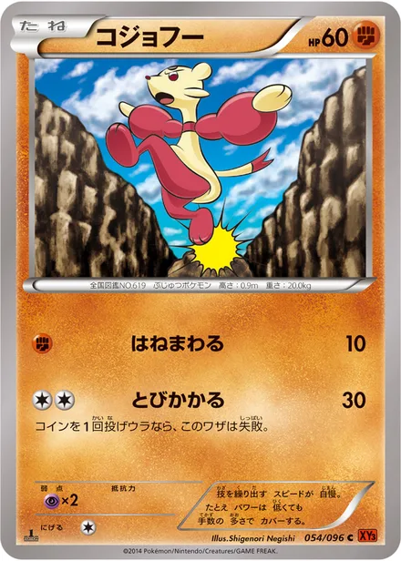 Mienfoo XY3 054/096