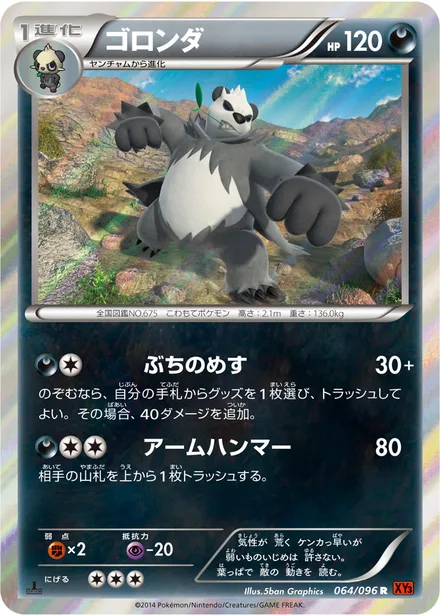 Pangoro XY3 064/096