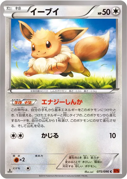Eevee XY3 075/096