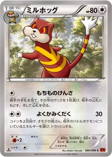 Watchog XY3 080/096