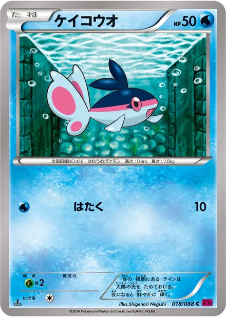 Finneon XY4 018/088