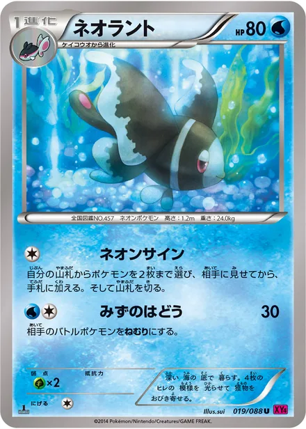 Lumineon XY4 019/088