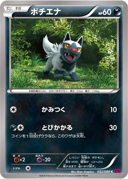 Poochyena XY4 052/088