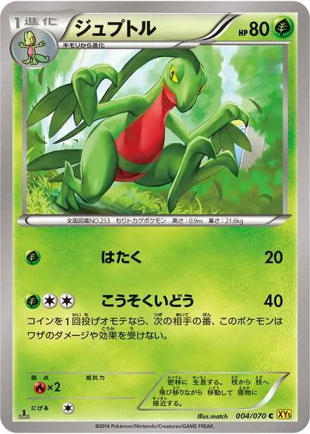 Grovyle XY5a 004/070
