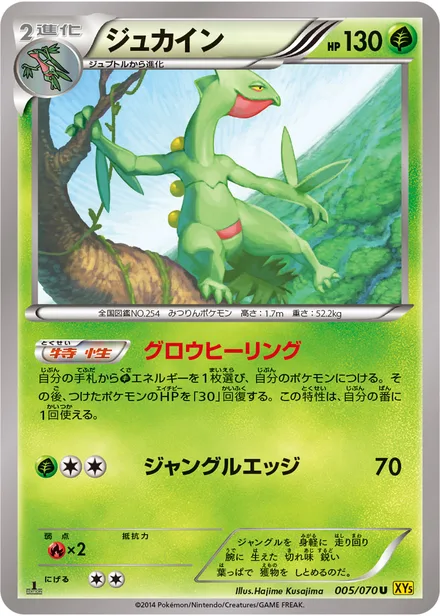 Sceptile XY5a 005/070
