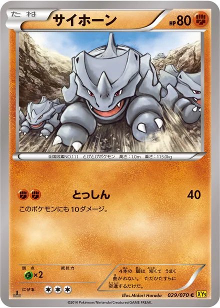 Rhyhorn XY5a 029/070