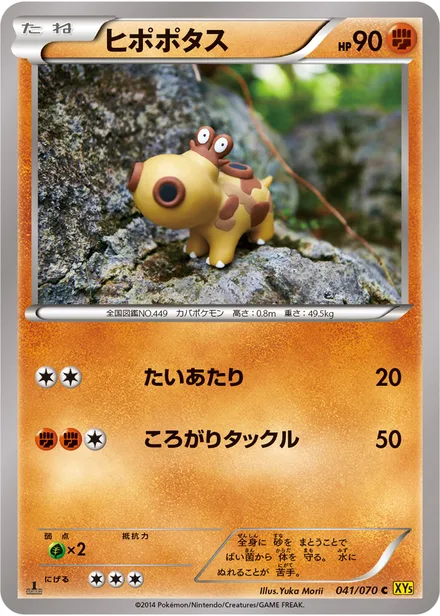 Hippopotas XY5a 041/070