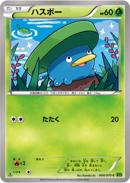 Lotad XY5b 004/070