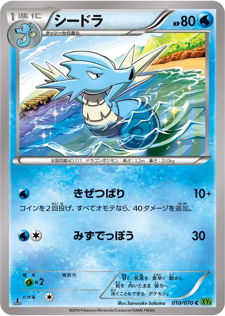 Seadra XY5b 010/070