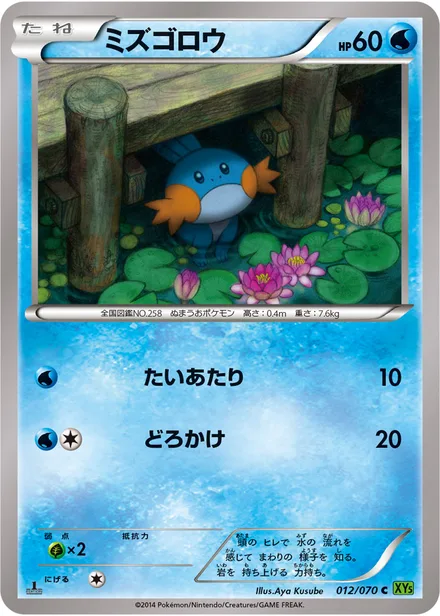 Mudkip XY5b 012/070