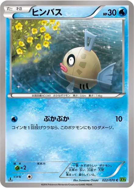Feebas XY5b 022/070