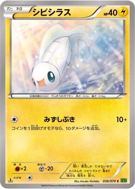 Tynamo XY5b 036/070
