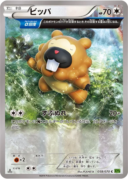 Bidoof XY5b 058/070
