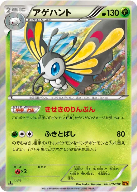 Beautifly XY6 005/078