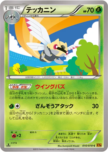 Ninjask XY6 010/078