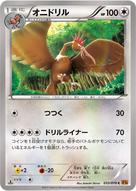 Fearow XY6 053/078
