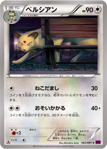 Persian XY7 062/081