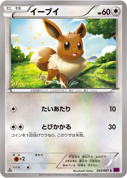 Eevee XY7 063/081