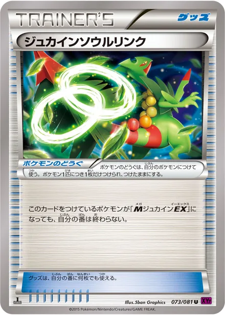 Sceptile Spirit Link XY7 073/081