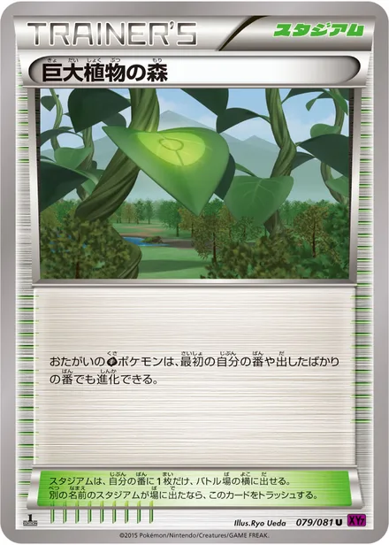 Forest of Giant Plants XY7 079/081