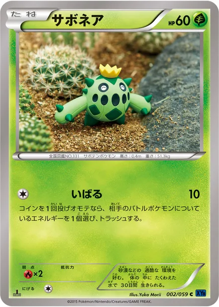 Cacnea XY8a 002/059