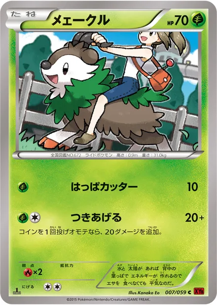 Skiddo XY8b 007/059