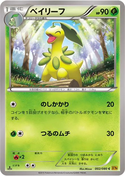 Bayleef XY9 002/080