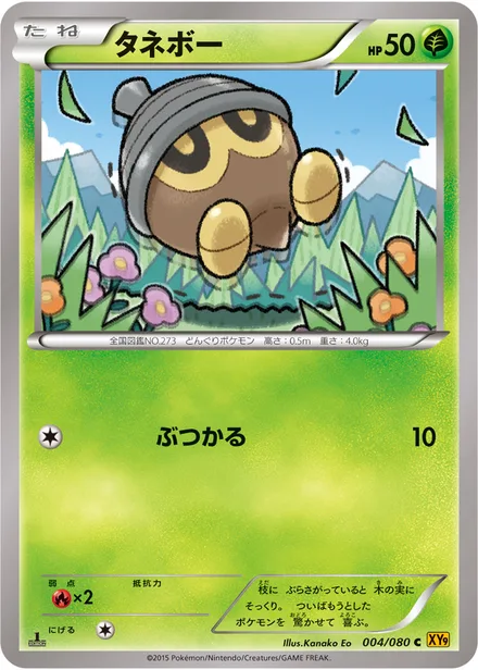 Seedot XY9 004/080
