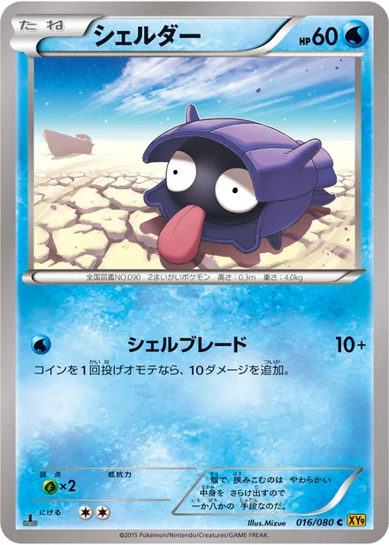Shellder XY9 016/080