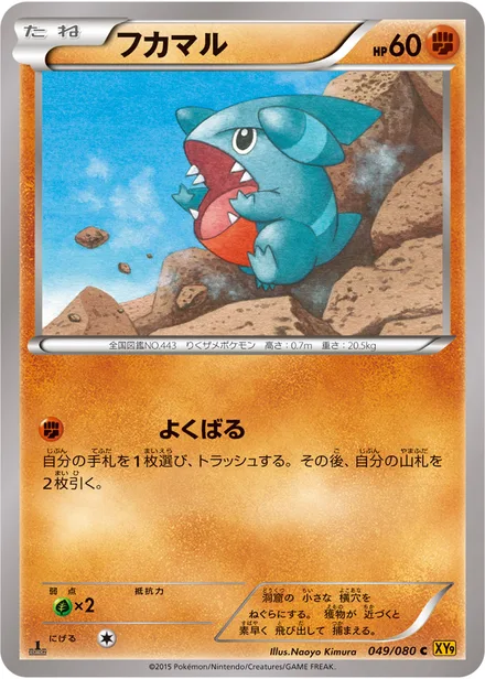 Gible XY9 049/080