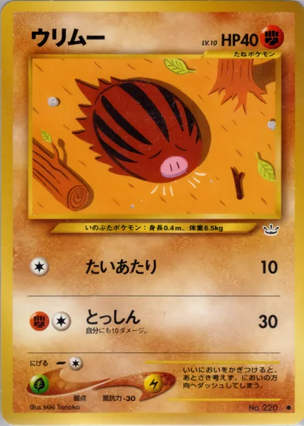 swinub neo3 038/57
