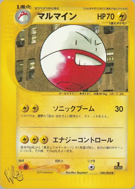 Electrode web1 026/48