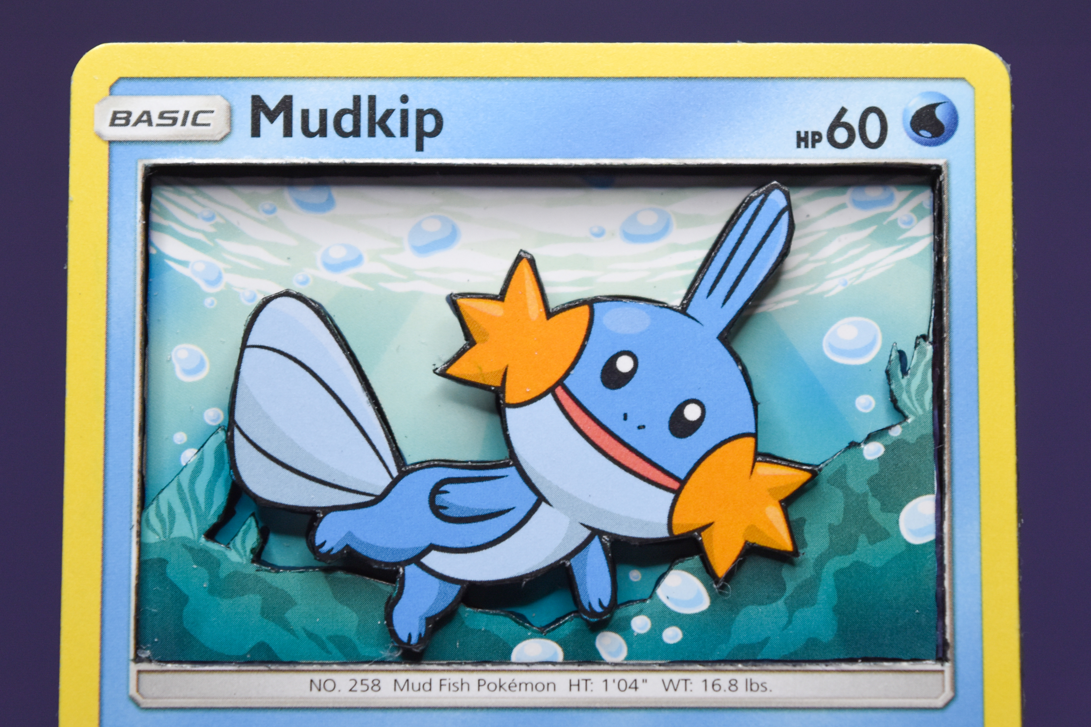 Mudkip
