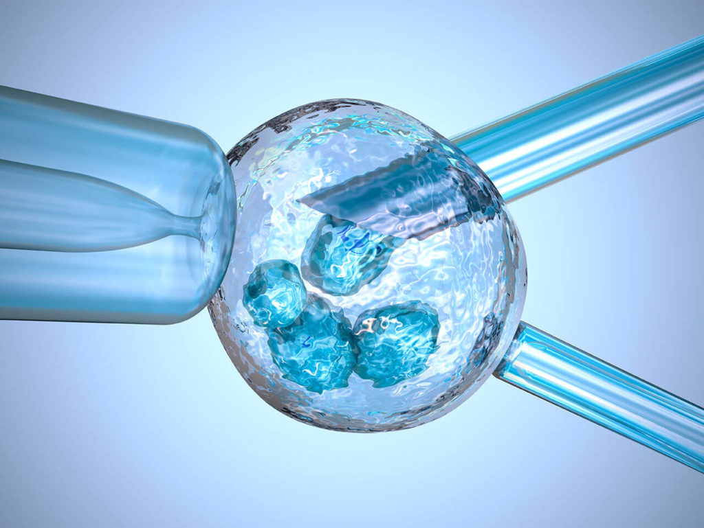 Blastocyst Culture Programmes Fertility Methods At The Care Clinic