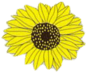 Die Lieblingsschwestern Ambulanter Pflegedienst Monique Lenk Logo