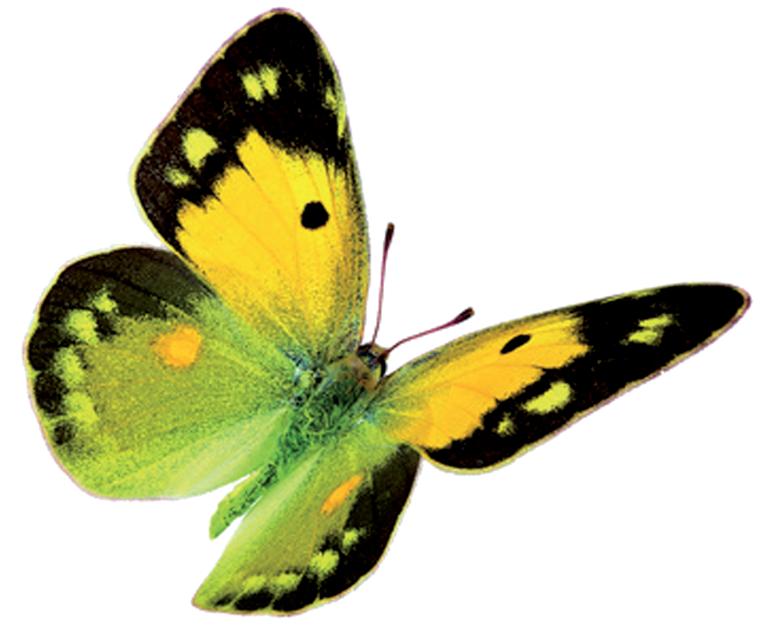 Mobile Kranken-u.Altenpflege Burkhard Appelt & Co Logo