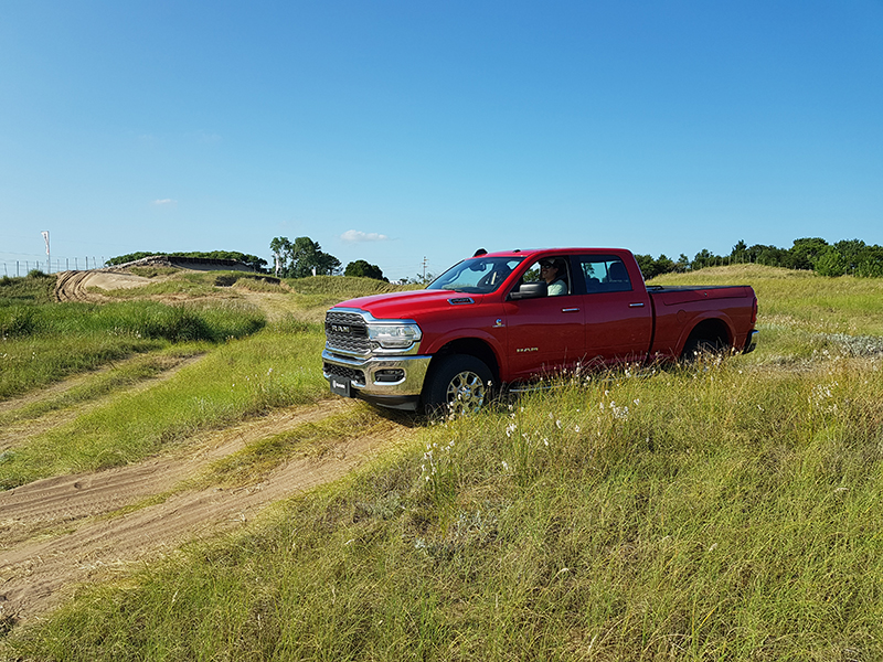 RAM en el campo.