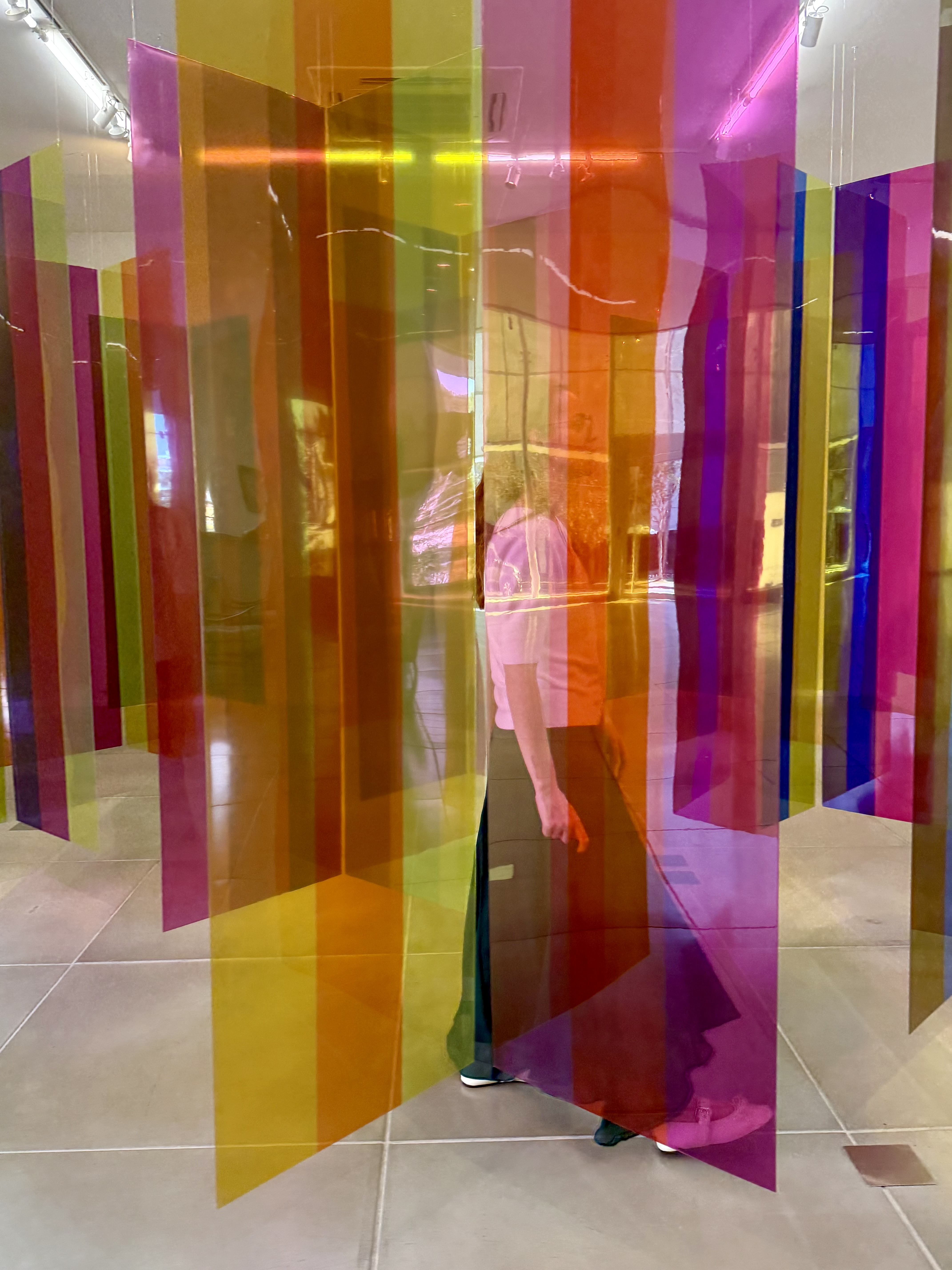 Carlos Eduardo Cruz-Diez