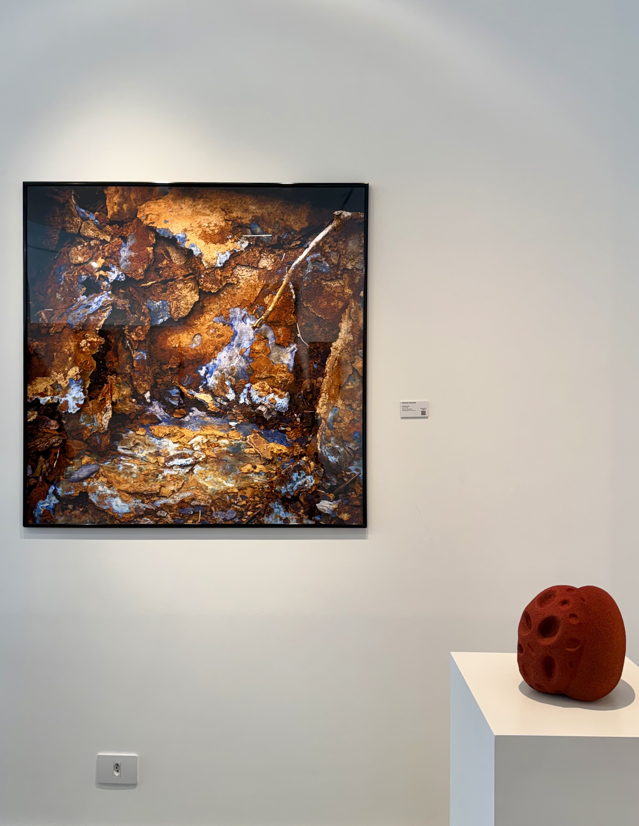 Exposição ‘Poesias da Natureza’
