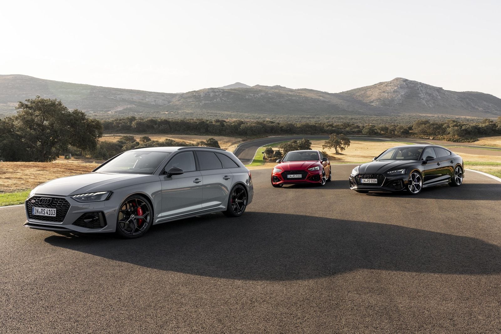 Audi RS4 - Image 4