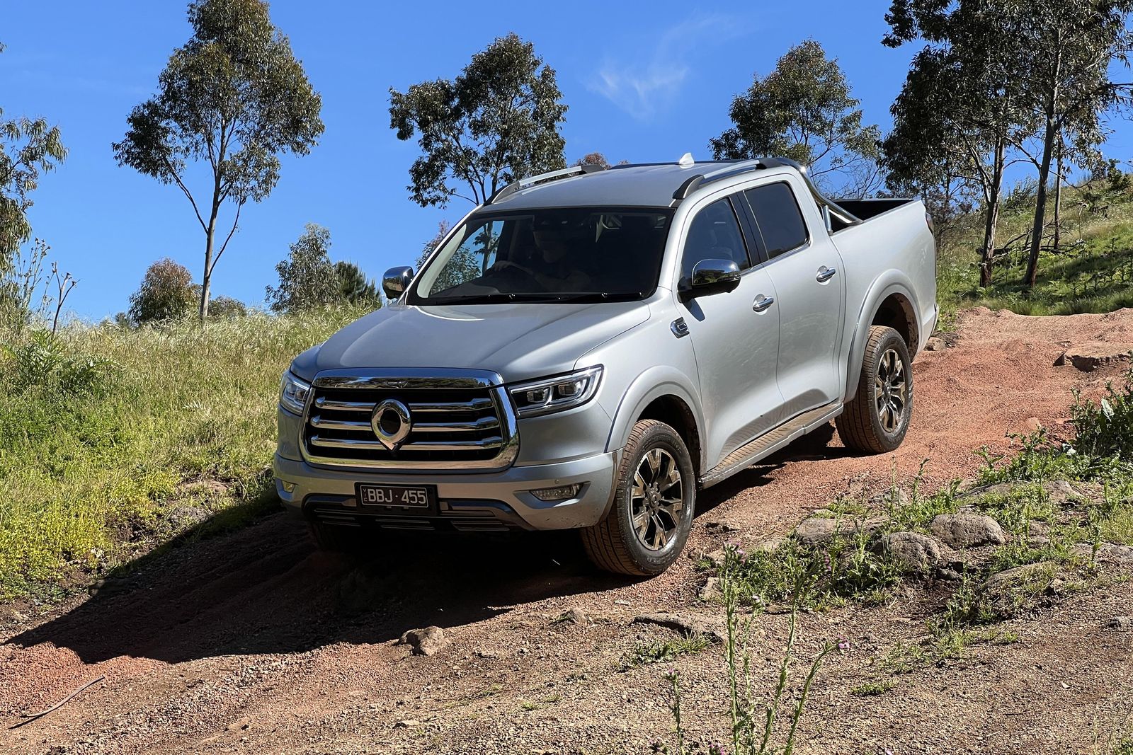 GWM Haval Cannon - Image 3