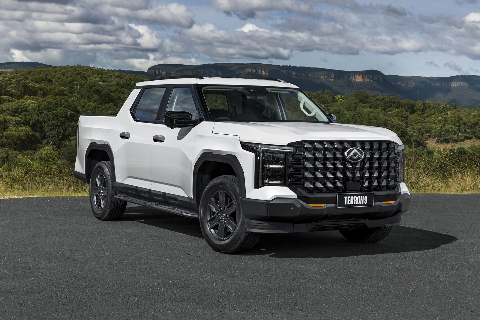 LDV Terron 9 - Image 1