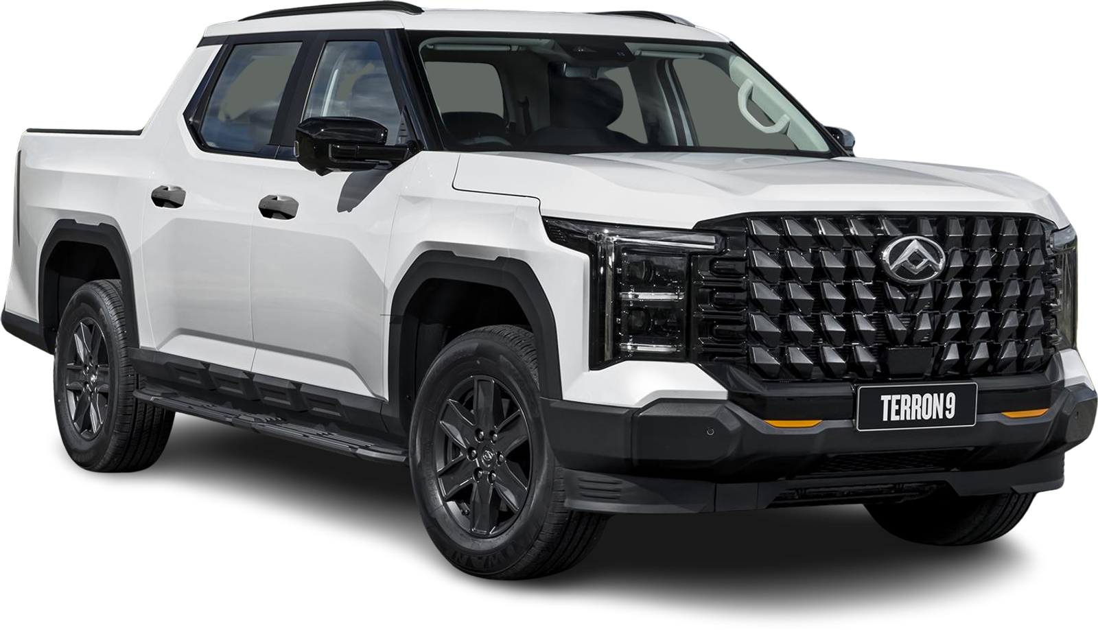 LDV Terron 9 - Image 2