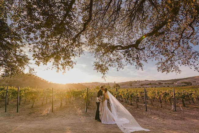 Fall Vineyard Weddings at Cass Winery