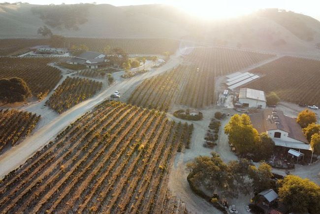 Steve Cass standing in the middle of the CASS Vineyard and Winery in East Paso