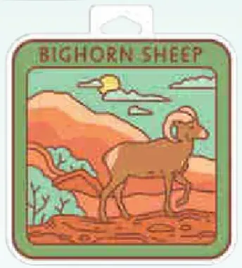 Bighorn Sheep