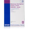 Epson Premium Semigloss Photo Paper Papel Fotográfico Semi-brillo